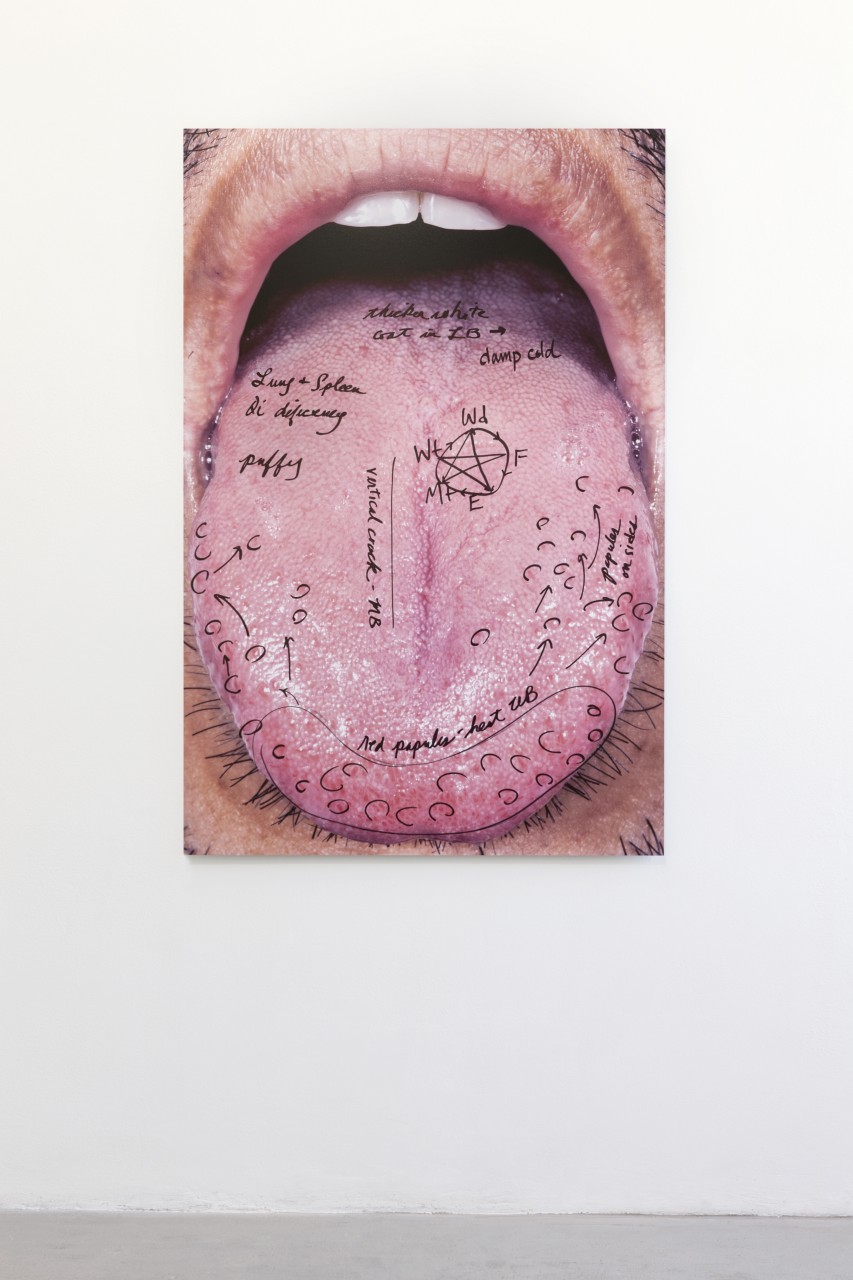 Carissa Rodriguez, <i>It’s Symptomatic / What would Edith Say?</i>, 2015, digital C-Print with permanent ink marker, mounted on aluminum, 152.4 x 101.6 cm. Courtesy of Gluck50. Ph. Andrea Rossetti