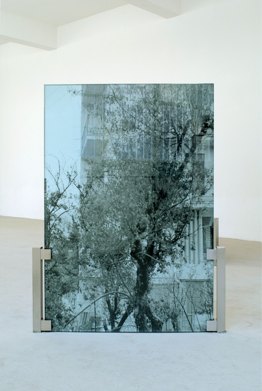Yuki Kimura, <i>DoubleSidedMatter (tree)</i>, 2013, 2 gelatin silver prints mounted on aluminium, glass, stainless steel, 145,5 x 114 x 6 cm. Courtesy of the artist and Gluck50. Ph. Raph Meazza